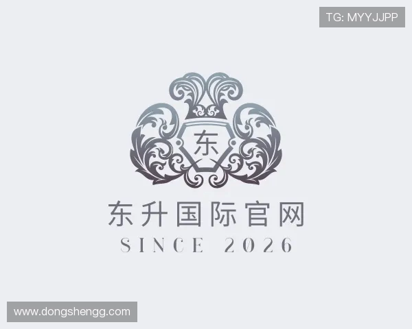 洞悉东升国际官网