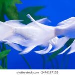 481开奖视频全程直播,彩票中奖号码权威发布 0rr86xcw