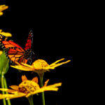 2025280期开奖结果公布最新中奖号码查询 14k0784