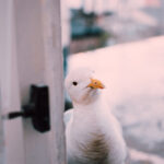 2025314期彩票开奖号码结果查询与公布 2av2s05e74