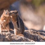 2025310期开奖结果最新公布查询 69spn9b