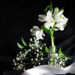 2025296期开奖结果公布,3号球惊喜中出 7l11lgj