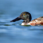 2025278期开奖号码正式公布,最新结果揭晓 9jor9debp