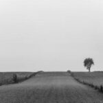 2025305期开奖号码公布及结果查询 cfdaeh0r