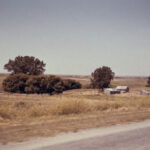 2025305期开奖结果最新公布与详细分析 d9ya56q6z