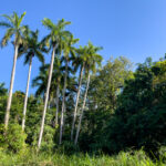 2025304期福彩开奖结果最新公布 dp5ope