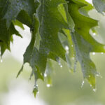 481电视开奖直播最新结果实时更新 hso954