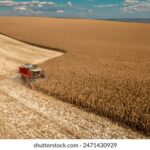 2025270期开奖号码正式公布结果 j8x7sp