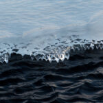 2025297期开奖号码最新公布与结果查询 pjkub60