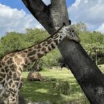 2025271期开奖结果最新公布,快来看看你中奖了吗? r2o5uiojwp