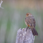 2025299期开奖结果最新公布,快来看看你中奖了吗? r8xhtvnl