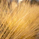 2025307期开奖结果公布,幸运号码揭晓 s9qfa0fx