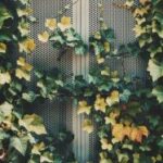 481开奖前后关键细节全解析与预测 tsqsxzvd