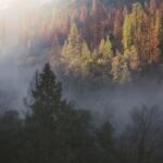 2025276期开奖结果震撼揭晓,大奖花落谁家? xg65w61yi