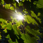 2025290期开奖结果最新公布与详细分析 zfrg1dl