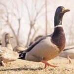 2025272期开奖结果公布最新中奖号码揭晓 zh2v6f80t